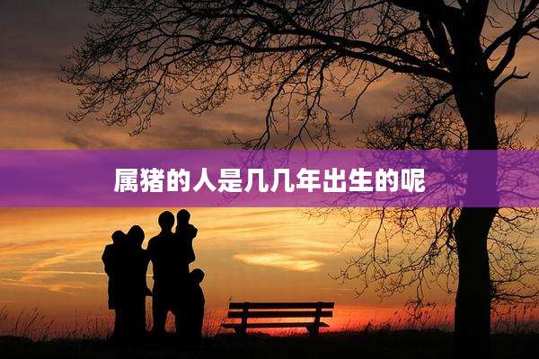 属猪的人是几几年出生的呢