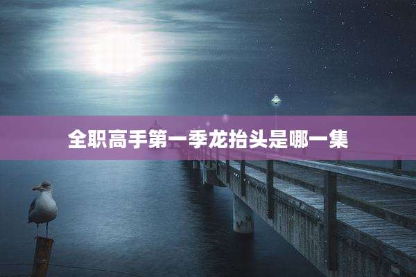 全职高手第一季龙抬头是哪一集