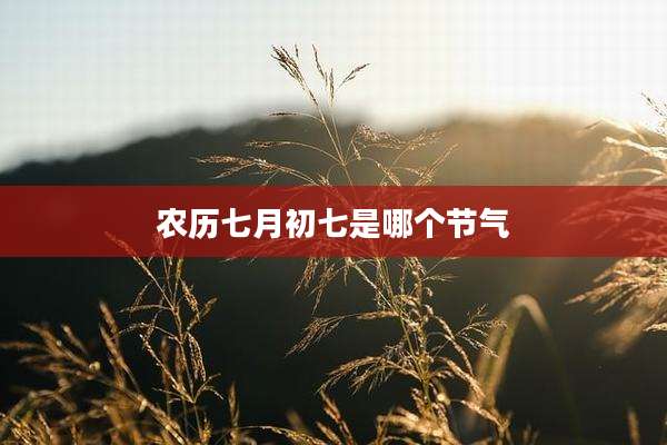 农历七月初七是哪个节气