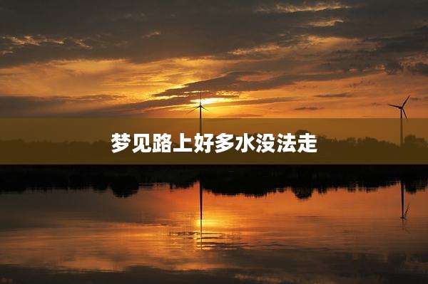梦见路上好多水没法走