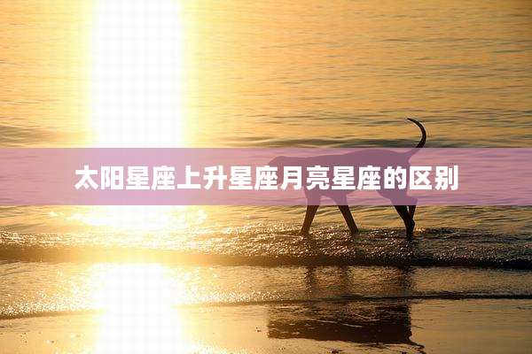 太阳星座上升星座月亮星座的区别