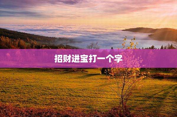 招财进宝打一个字