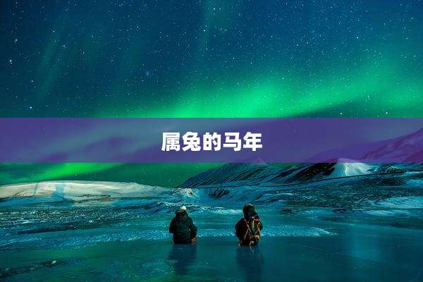 属兔的马年