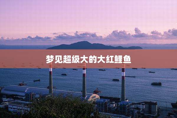 梦见超级大的大红鲤鱼