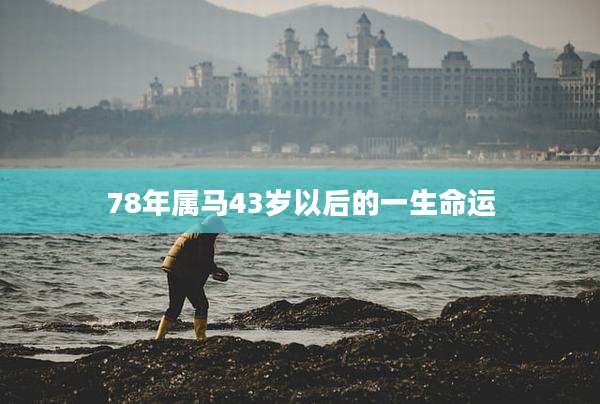 78年属马43岁以后的一生命运