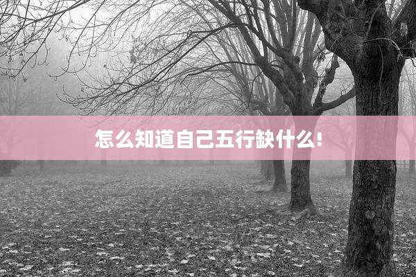 怎么知道自己五行缺什么!