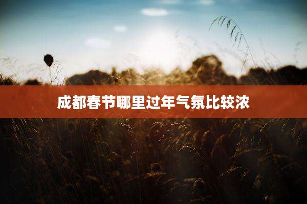 成都春节哪里过年气氛比较浓