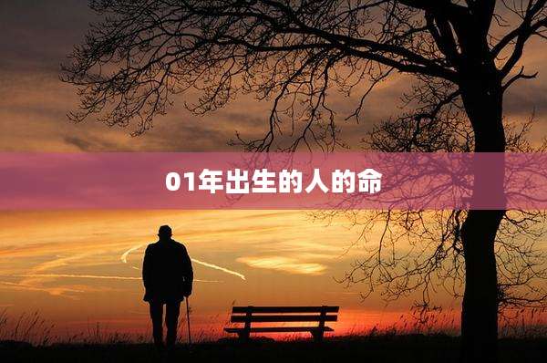 01年出生的人的命