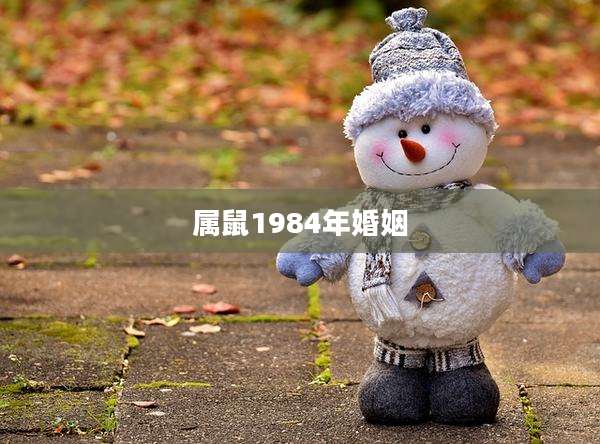 属鼠1984年婚姻