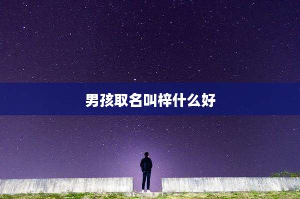 男孩取名叫梓什么好
