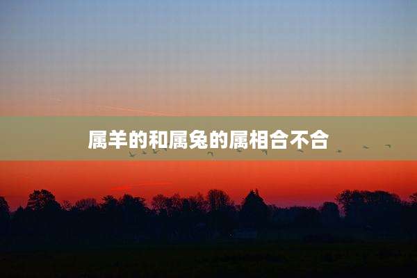 属羊的和属兔的属相合不合