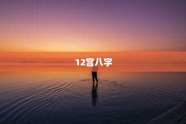 12宫八字