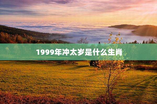 1999年冲太岁是什么生肖