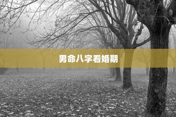 男命八字看婚期