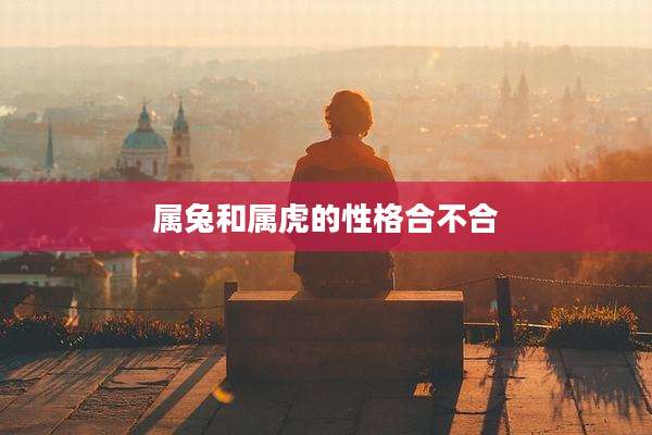 属兔和属虎的性格合不合