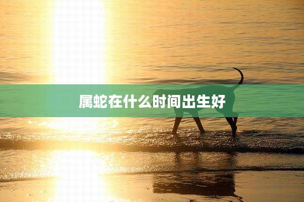 属蛇在什么时间出生好