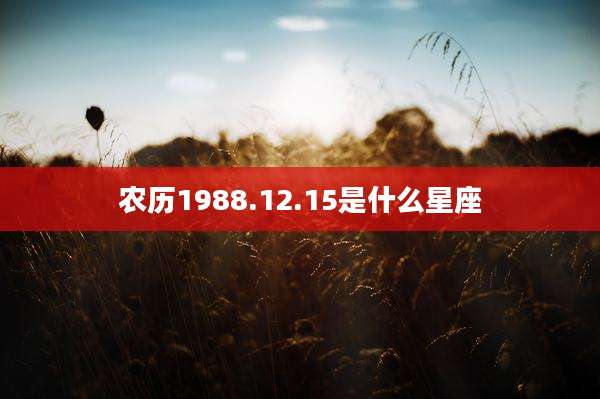 农历1988.12.15是什么星座