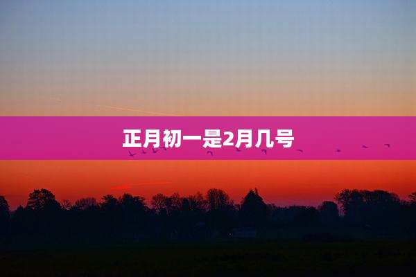 正月初一是2月几号