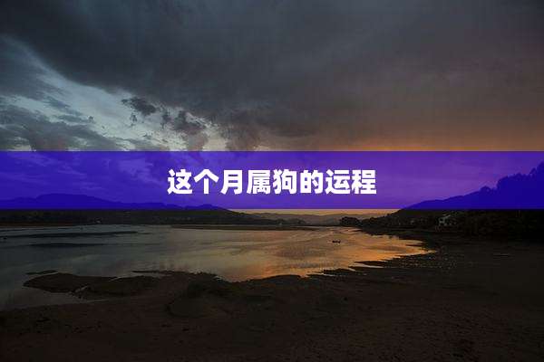 这个月属狗的运程