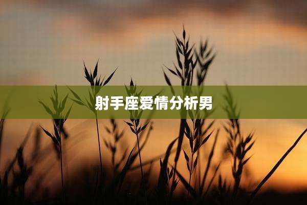 射手座爱情分析男