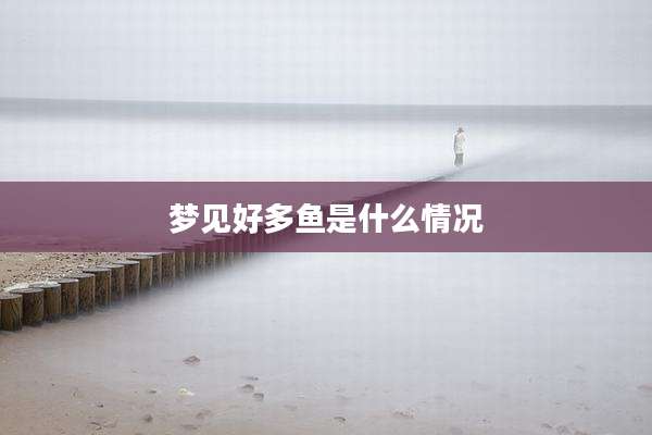 梦见好多鱼是什么情况