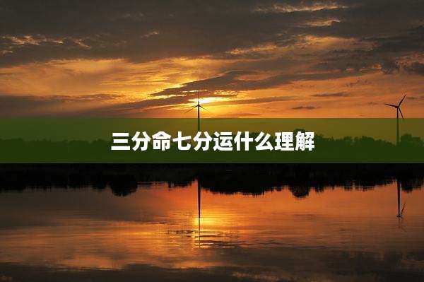 三分命七分运什么理解