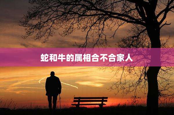 蛇和牛的属相合不合家人