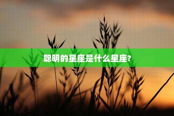 聪明的星座是什么星座?