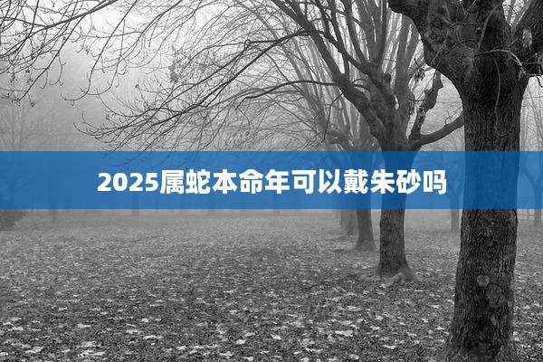 2025属蛇本命年可以戴朱砂吗
