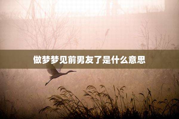 做梦梦见前男友了是什么意思