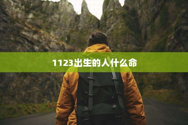1123出生的人什么命