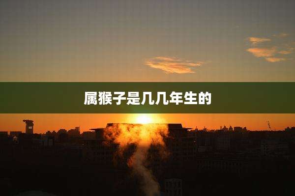 属猴子是几几年生的