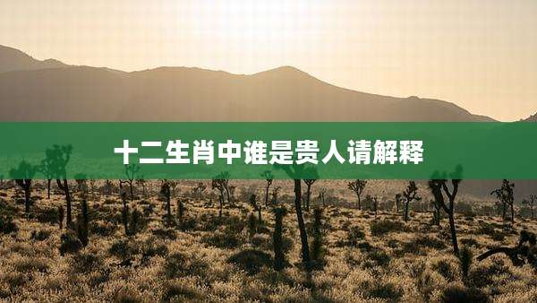十二生肖中谁是贵人请解释