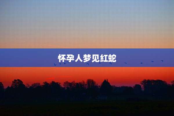 怀孕人梦见红蛇