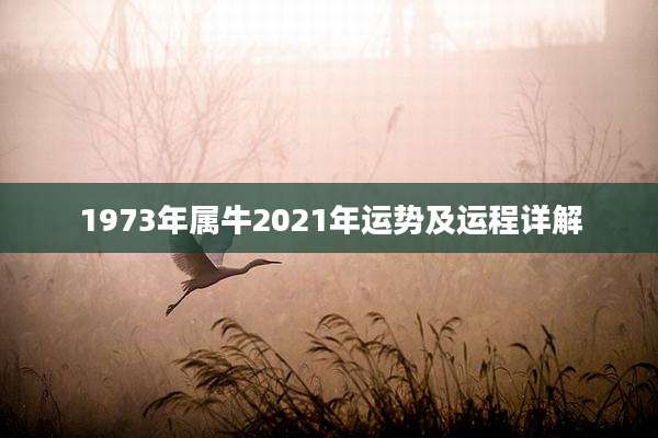 1973年属牛2021年运势及运程详解