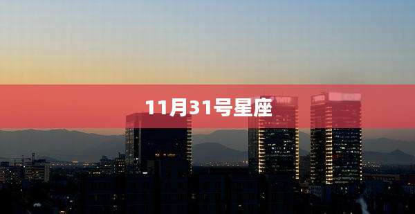 11月31号星座