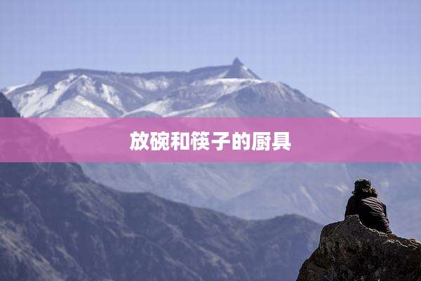 放碗和筷子的厨具