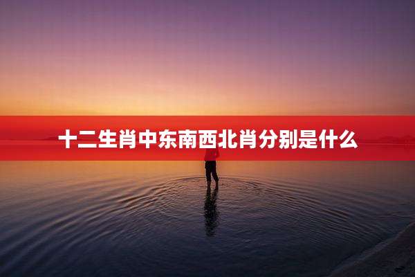 十二生肖中东南西北肖分别是什么