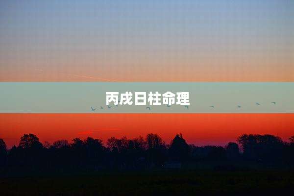 丙戌日柱命理