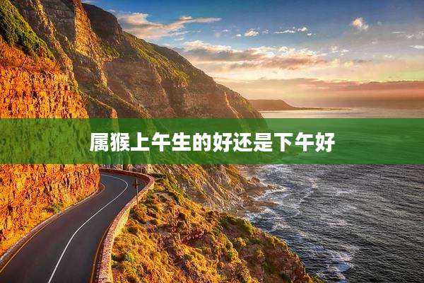 属猴上午生的好还是下午好