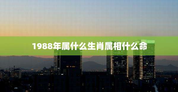 1988年属什么生肖属相什么命