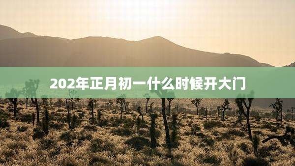 202年正月初一什么时候开大门
