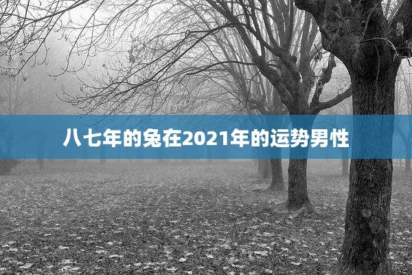 八七年的兔在2021年的运势男性