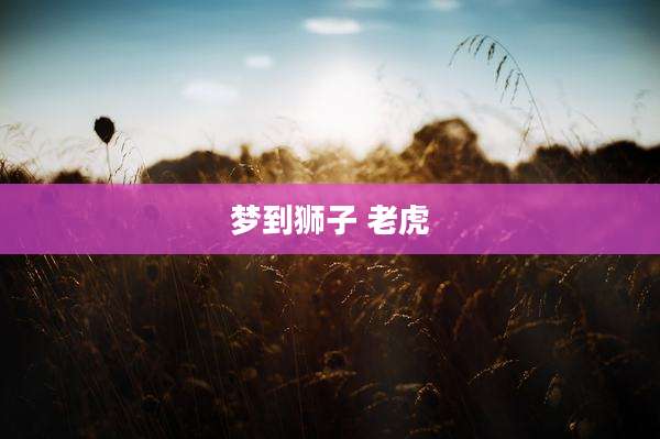 梦到狮子 老虎