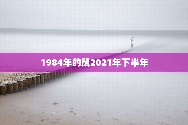 1984年的鼠2021年下半年