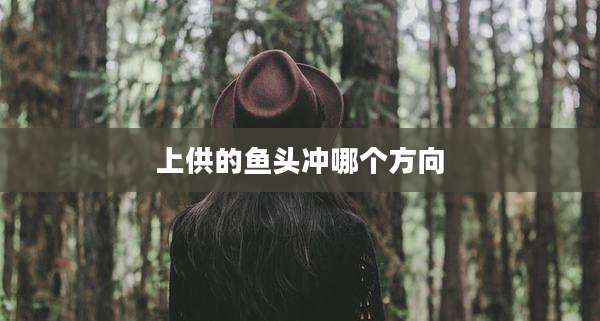 上供的鱼头冲哪个方向