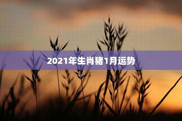 2021年生肖猪1月运势