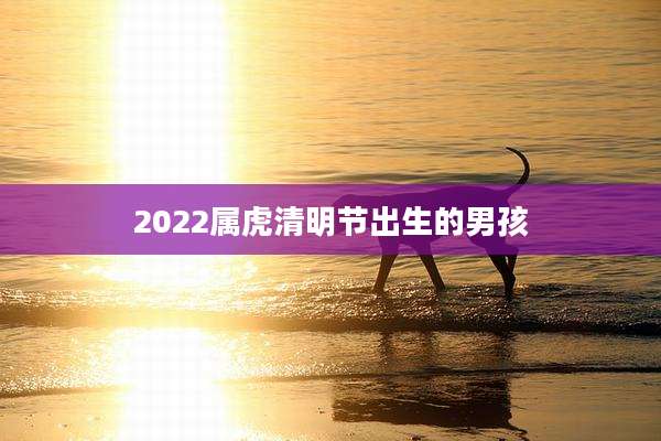 2022属虎清明节出生的男孩