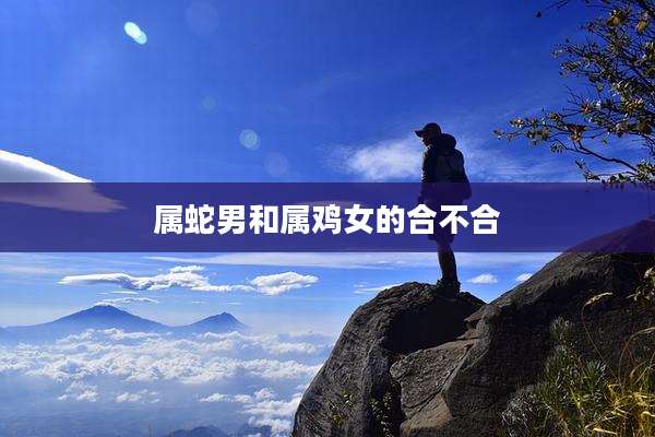 属蛇男和属鸡女的合不合