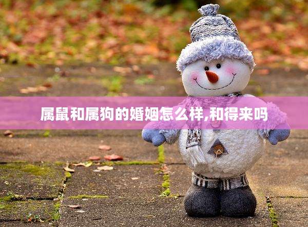 属鼠和属狗的婚姻怎么样,和得来吗